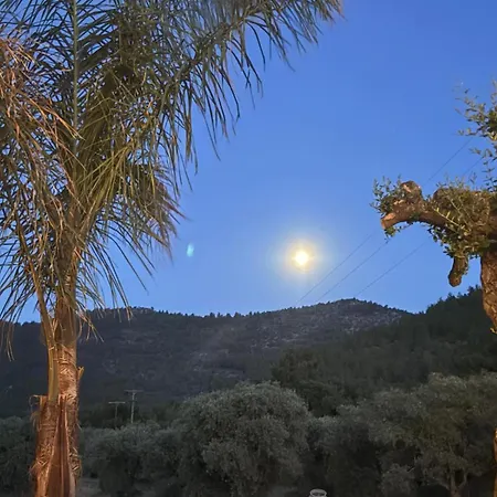 Viasol Thassos Skala Rachoni (Thasos)